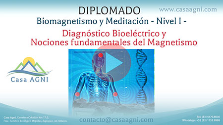 02-Diagnostico Bioeléctrico y Nociones Magnetismo